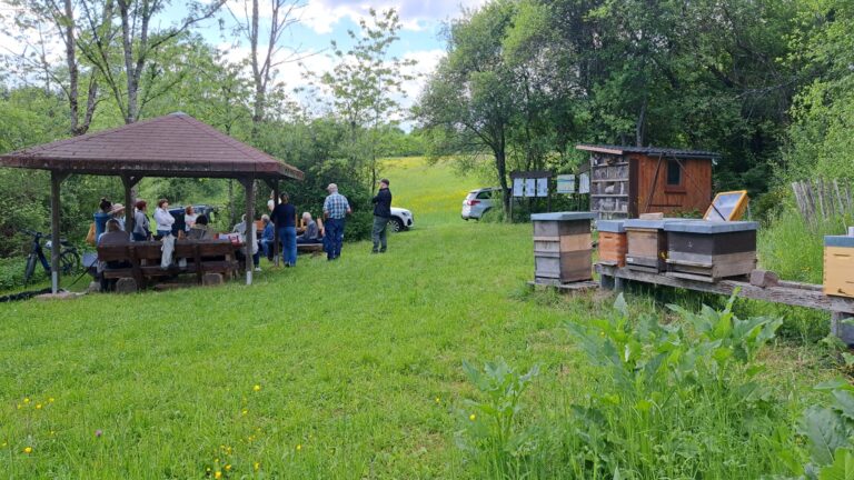 Unsere monatlichen Imkertreffen