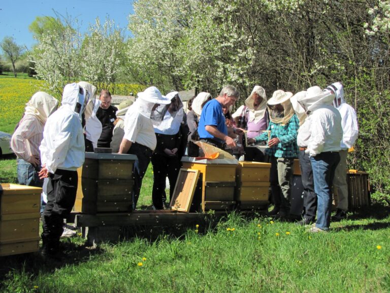 Imkerkurs für Einsteiger – Entdecken Sie die Welt der Bienen!