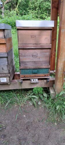 Stockwaage am Lehrbienenstand